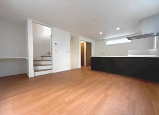 駅5分 2線利用可RB付きの新築ICHIKAWA001